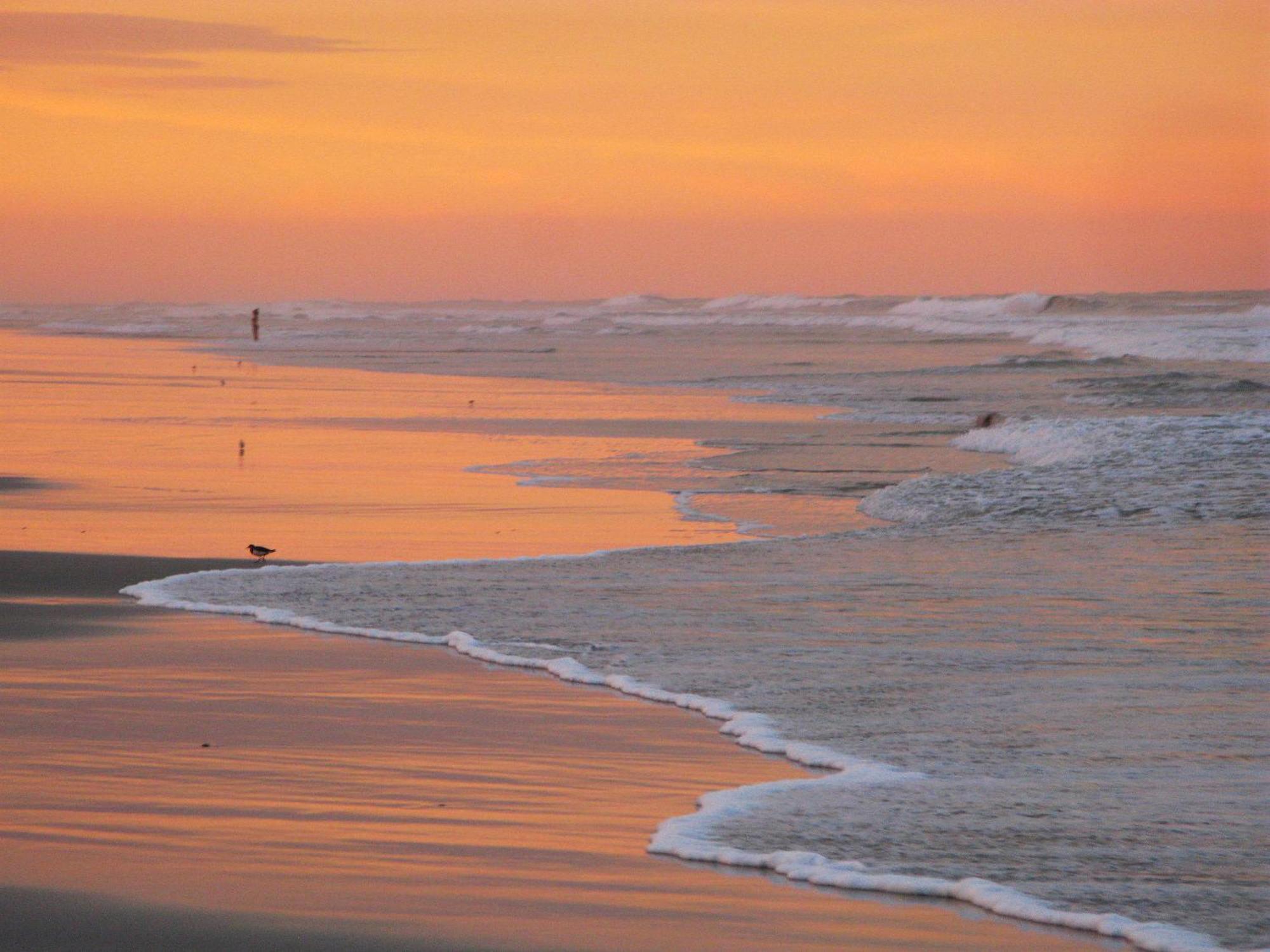 Guy Harvey Resort On Saint Augustine Beach Εξωτερικό φωτογραφία